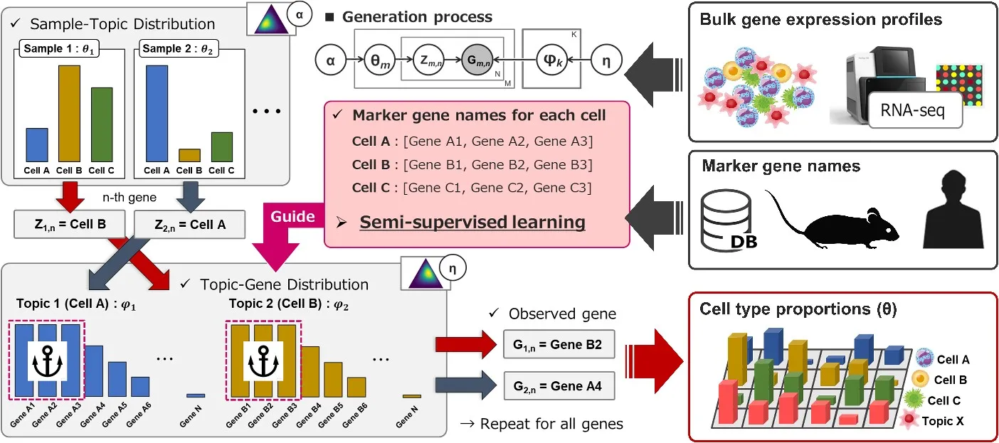 Overview figure of GLDADec, a marker-gene guided LDA model for bulk gene expression deconvolution
